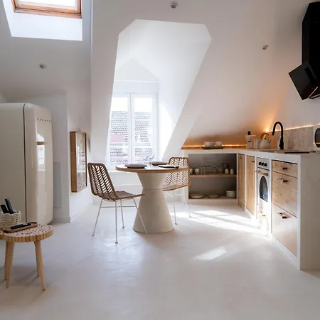 Sublime Loft Avec Privatif & Sauna, Hyper Centre, Parking Facile 埃皮纳勒