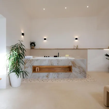 Sublime Loft Avec Privatif & Sauna, Hyper Centre, Parking Facile 公寓 *