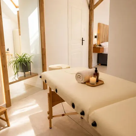 Sublime Loft Avec Privatif & Sauna, Hyper Centre, Parking Facile Apartment *