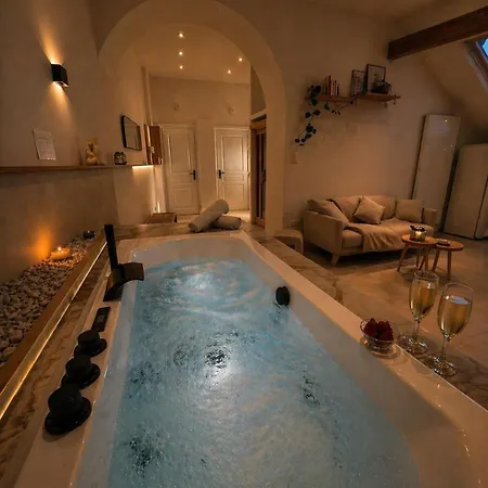 Sublime Loft Avec Privatif & Sauna, Hyper Centre, Parking Facile *