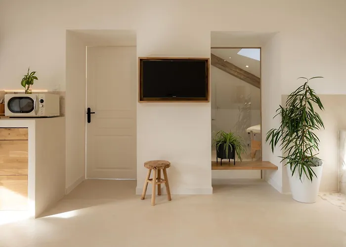 Apartament Sublime Loft Avec Privatif & Sauna, Hyper Centre, Parking Facile *