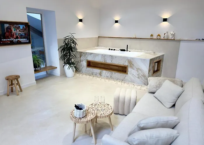 Sublime Loft Avec Privatif & Sauna, Hyper Centre, Parking Facile Apartament